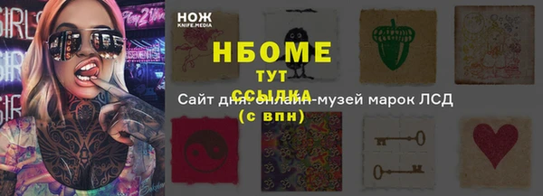 прущий лед Пестово