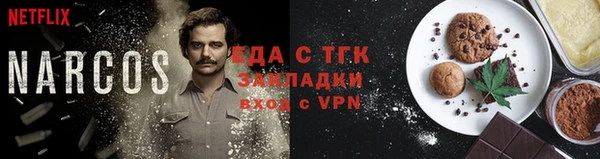 гидра Дмитров
